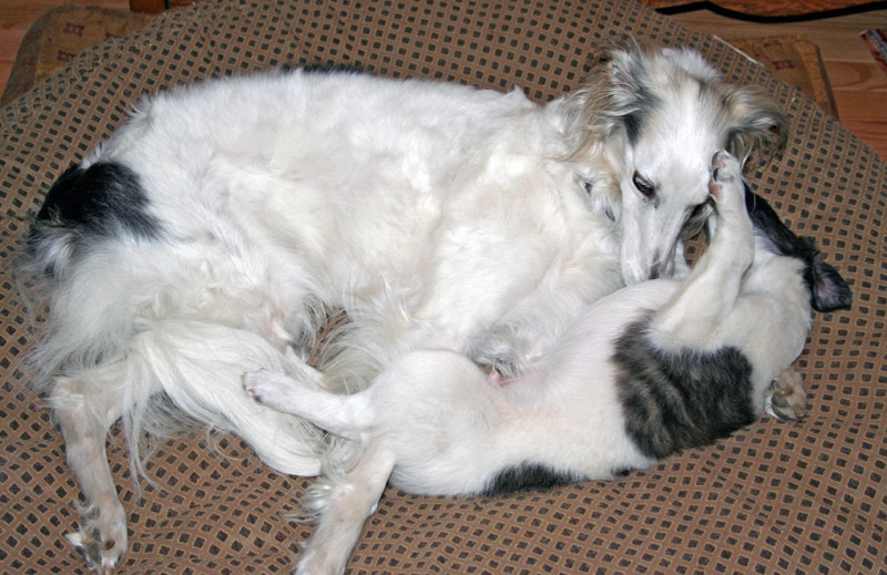 Surf Spots - Boy 2 with Isis